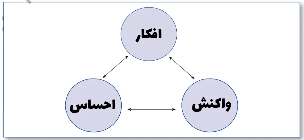 تاریخچه نظریه rebt الیس