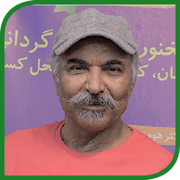 مهدی میامی