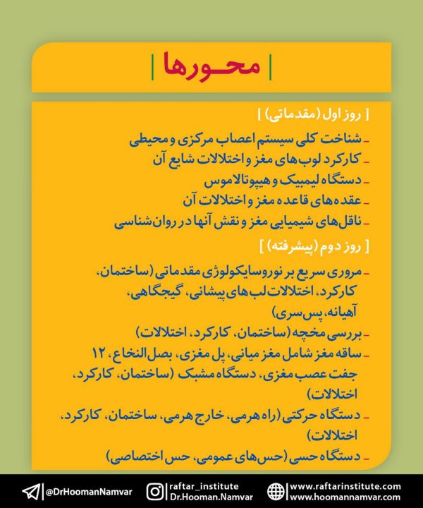 کارگاه تخصصی "نوروسایکولوژی" - تصویر 2